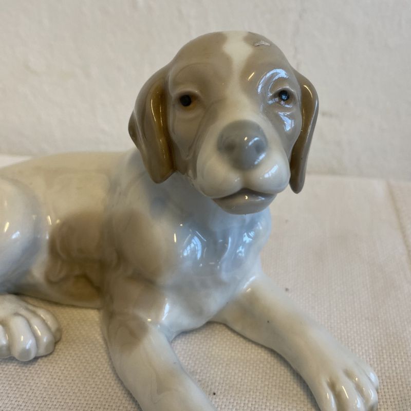 LLadro, liten hund