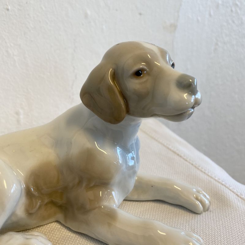 LLadro, liten hund