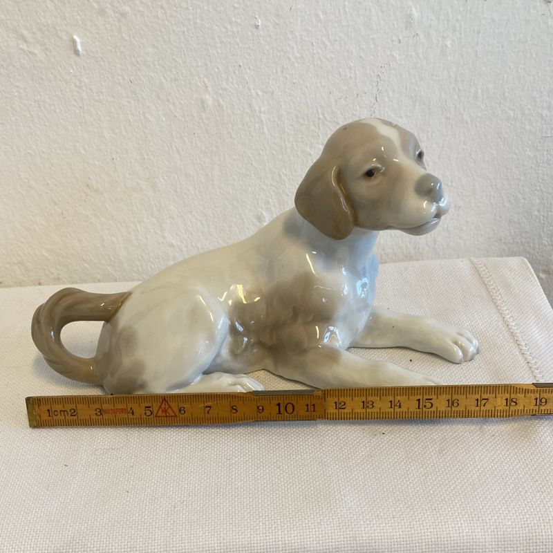 LLadro, liten hund