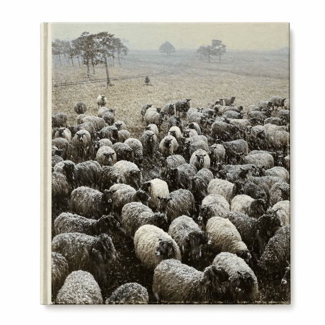 Hovedbilde Contemporary Textile Art, Scandinavia