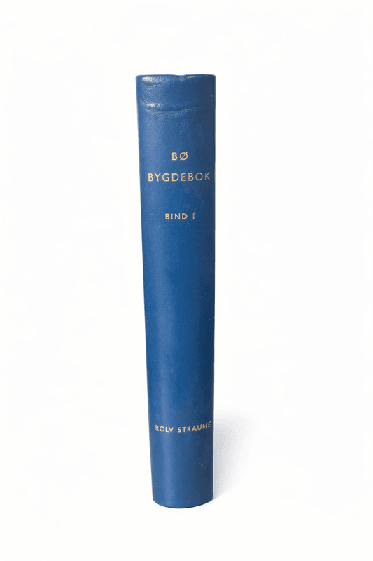 Bø bygdebok, bind I